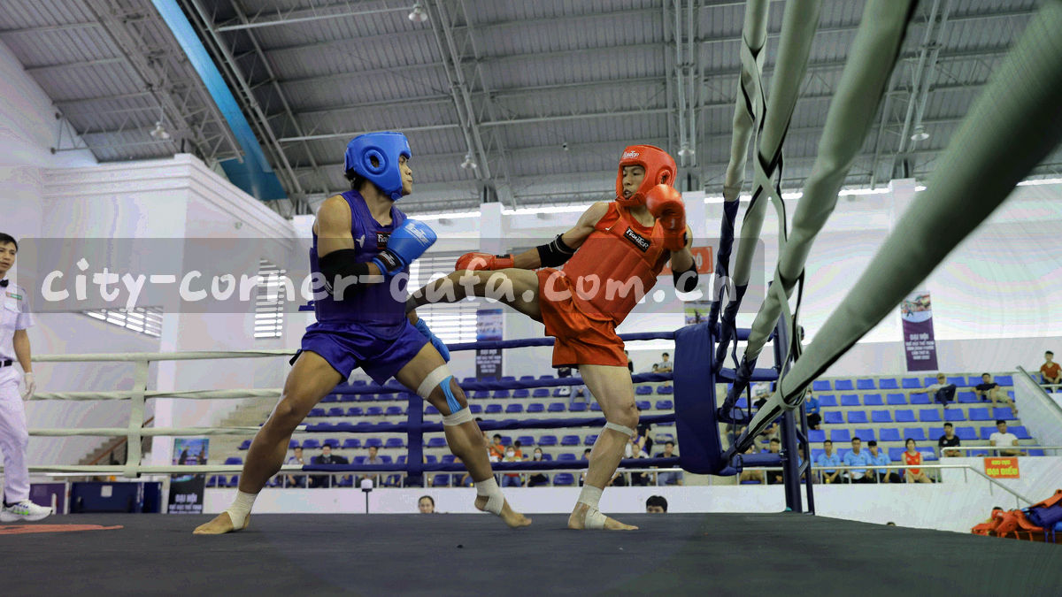 老弄堂口的霓虹招牌与路灯，光带像流动的数据线